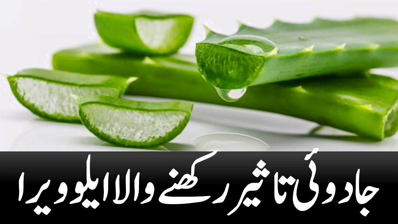 Aloe Vera with magical effects