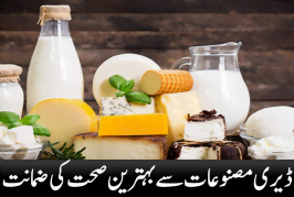 Excellent health guarantee from dairy products